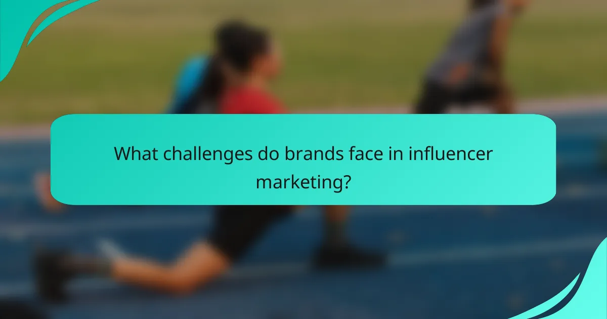 What challenges do brands face in influencer marketing?