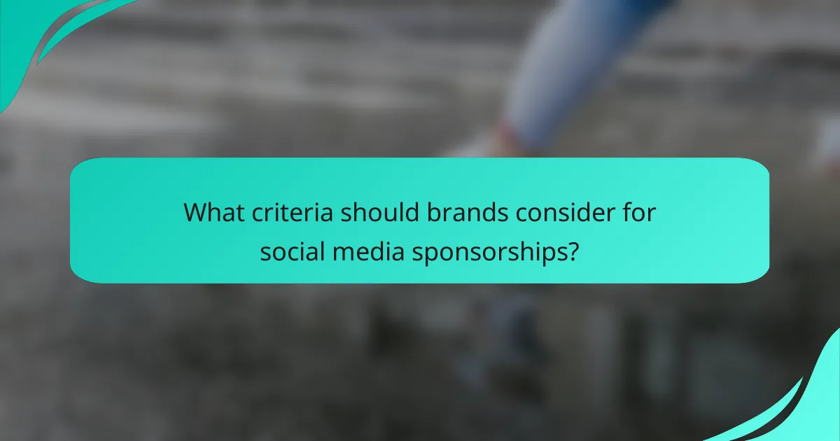 What criteria should brands consider for social media sponsorships?